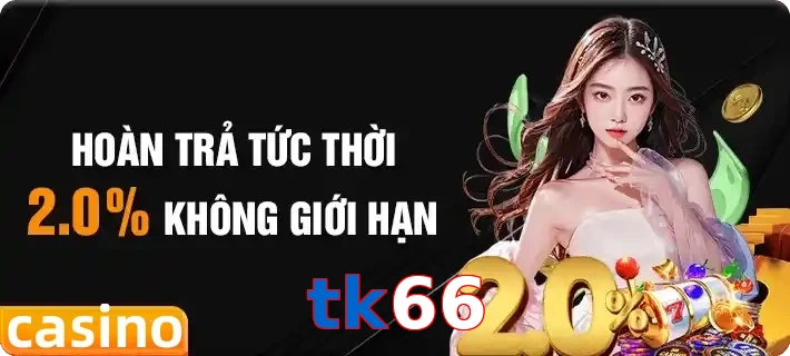tk66
